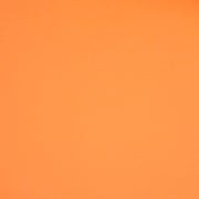 Fondo de Papel 2.7 x 11m Mandarina